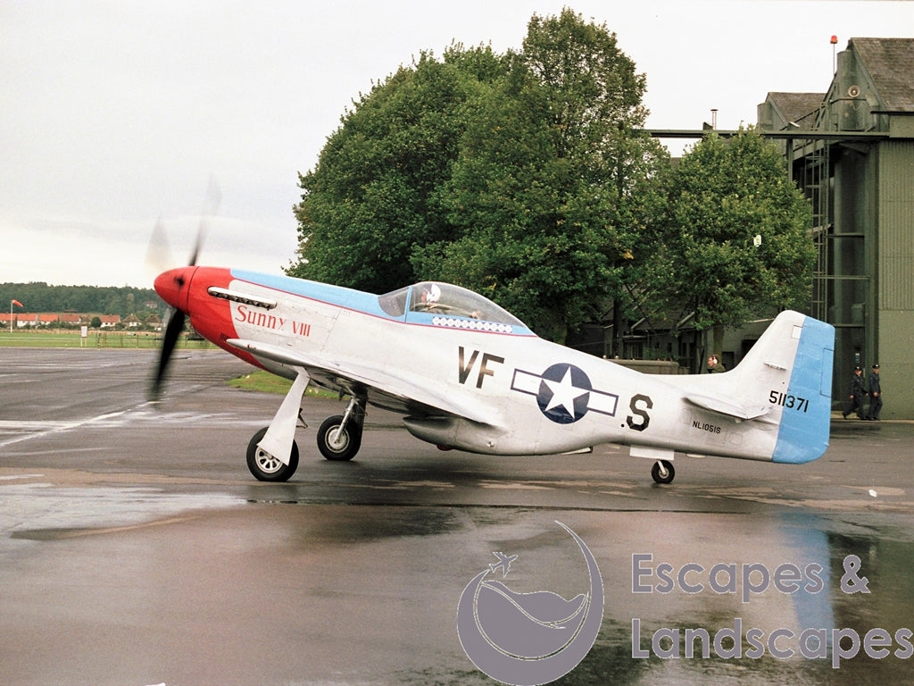 Mustang P-51D