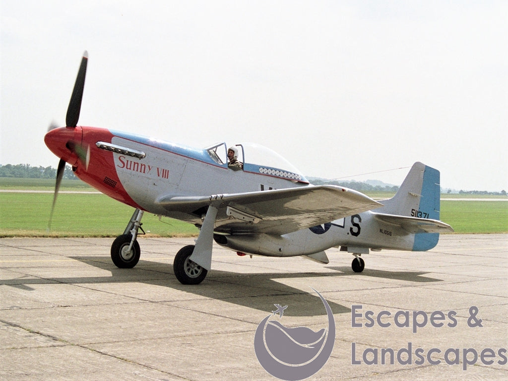 Mustang P-51D