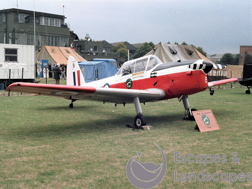 Chipmunk T10