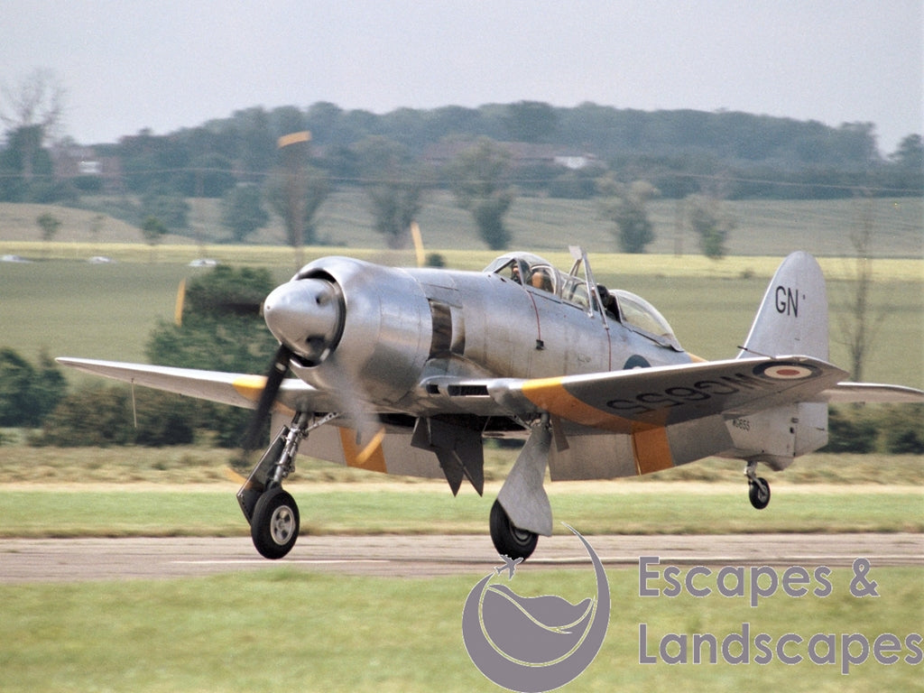 Sea Fury T20