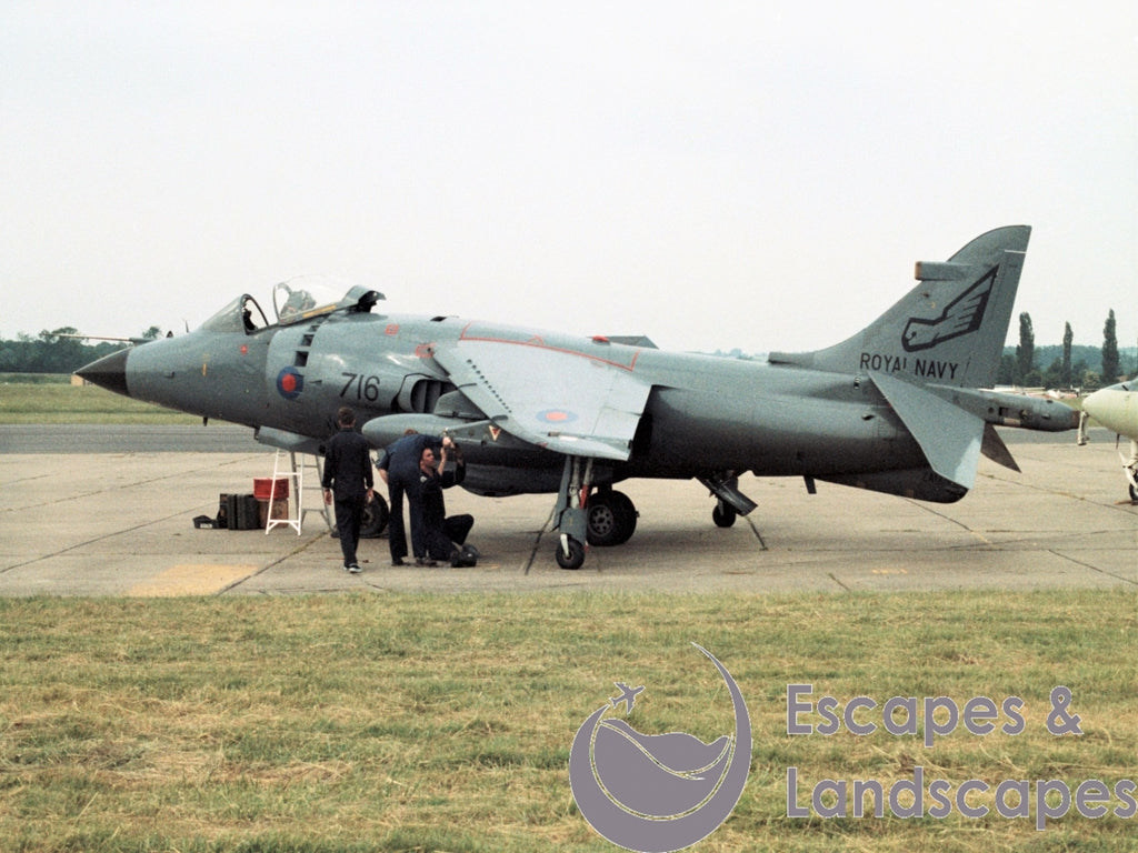 Sea Harrier FRS1