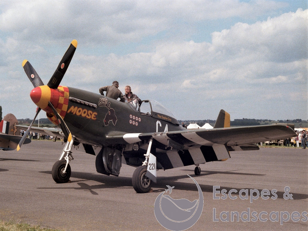Mustang P-51D