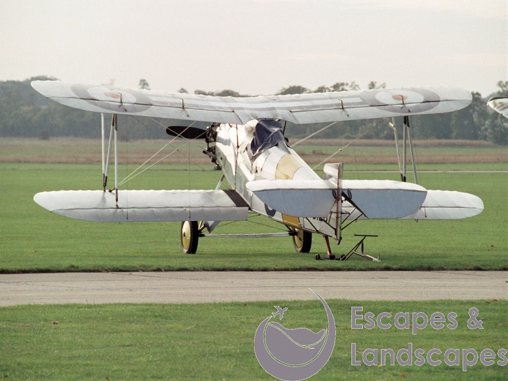 Flycatcher (replica)