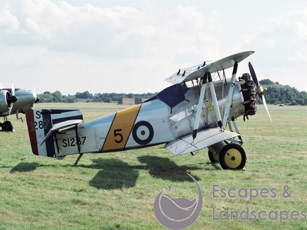 Flycatcher (replica)