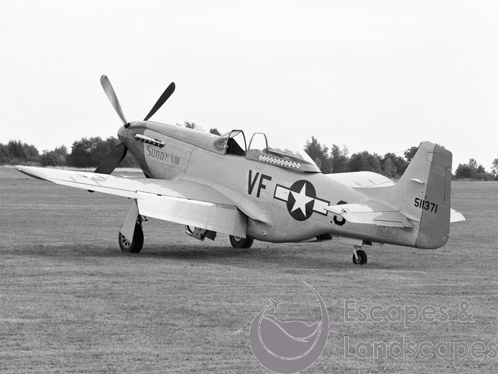 Mustang P-51D