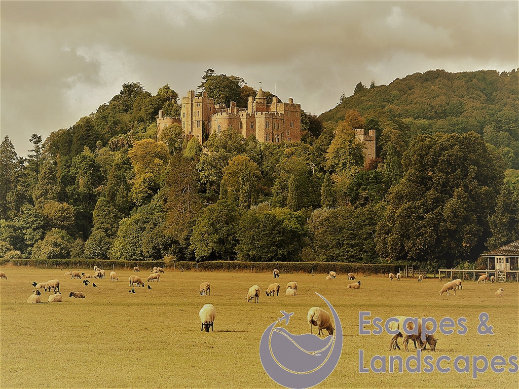 Dunster Castle and Grounds