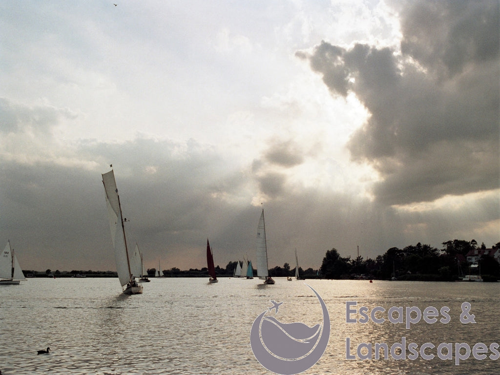 Oulton Broad landscape