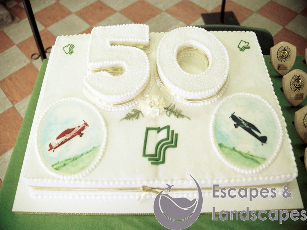 Taylorcraft Ltd 50th Anniversary Commemoration cake, former Rearsby Aerodrome