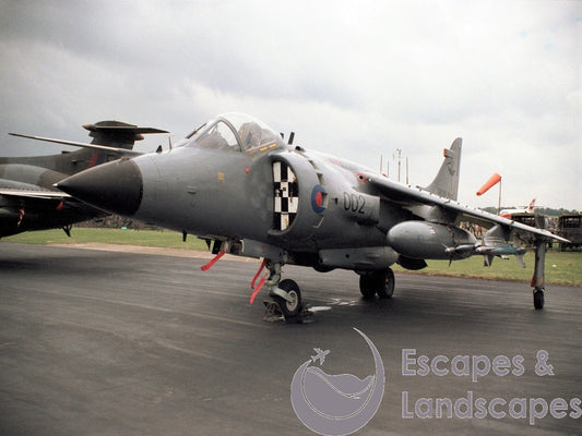 Sea Harrier FRS1