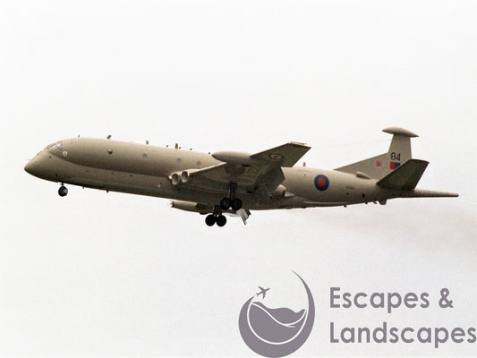 Nimrod MR2