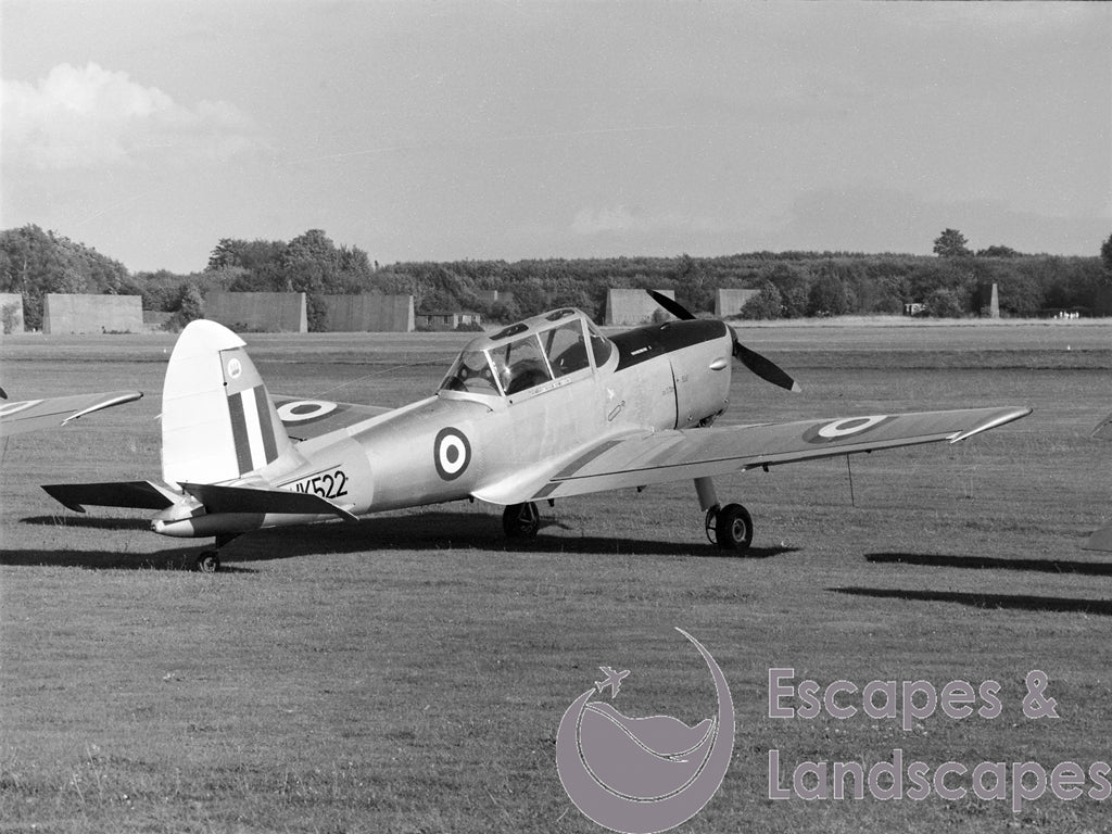 Chipmunk T10