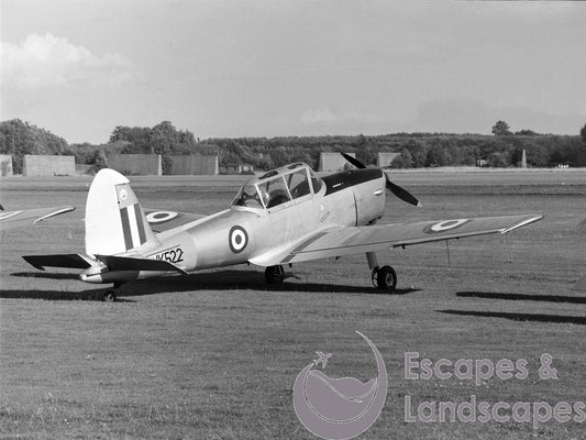Chipmunk T10