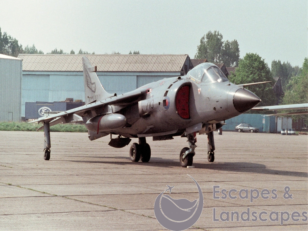 Sea Harrier FRS1