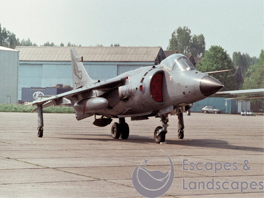 Sea Harrier FRS1