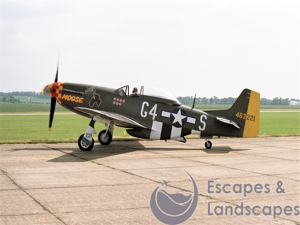 Mustang P-51D
