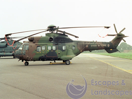 Super Puma AS332