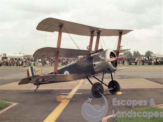 Sopwith Triplane replica