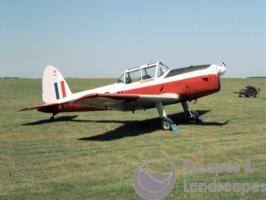 Chipmunk T10