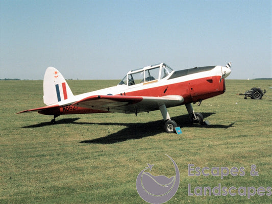 Chipmunk T10