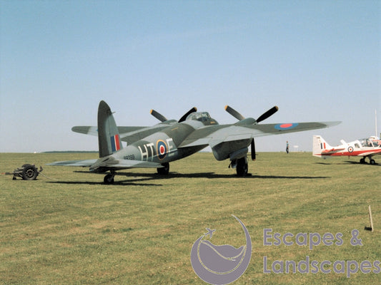 Mosquito T3
