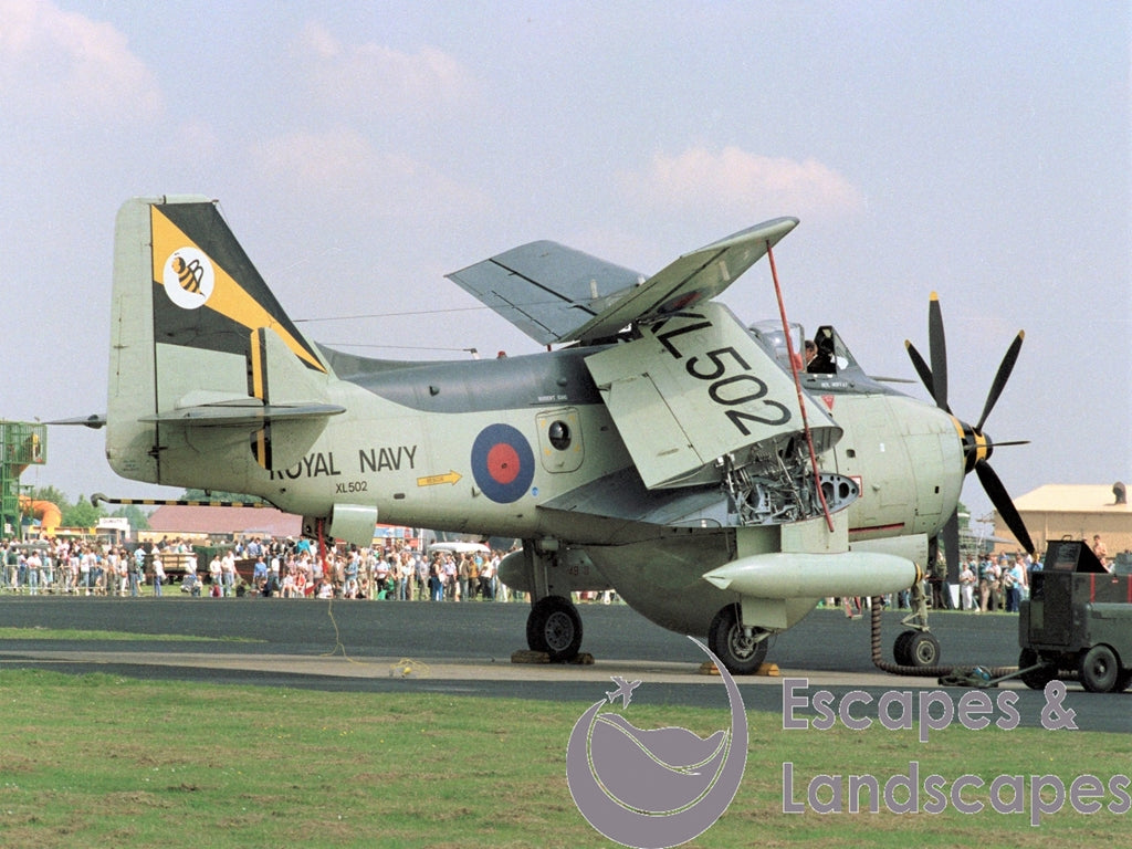 Gannet AEW3
