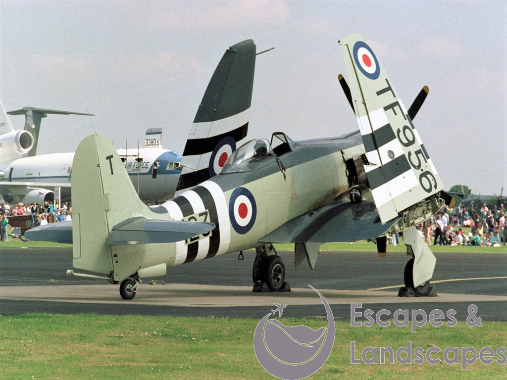 Sea Fury FB11