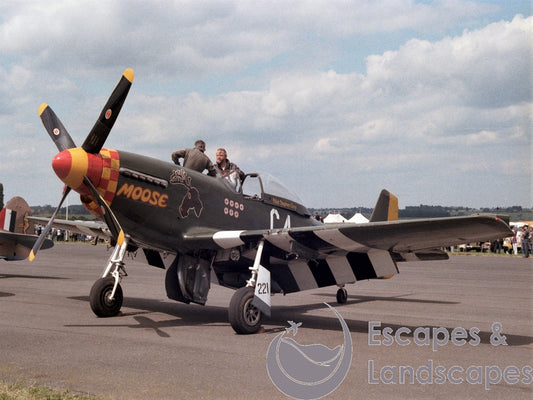 Mustang P-51D