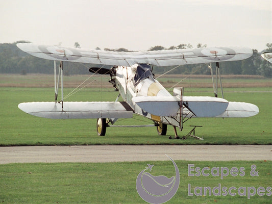 Flycatcher (replica)