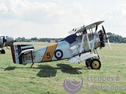 Flycatcher (replica)