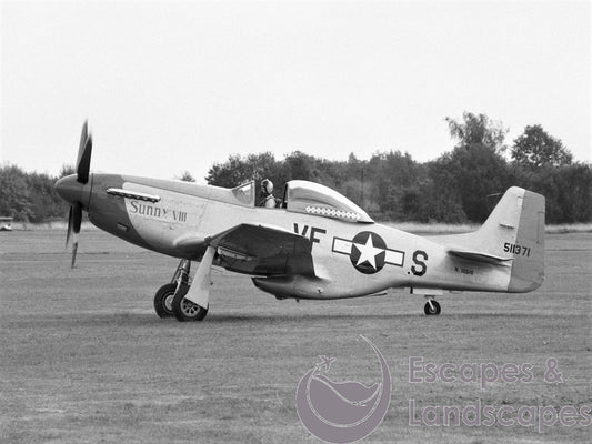 Mustang P-51D