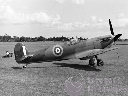 Spitfire lX