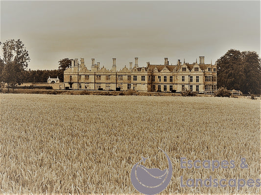 Kirby Hall with cornfield