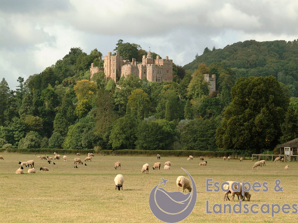 Dunster Castle and Grounds