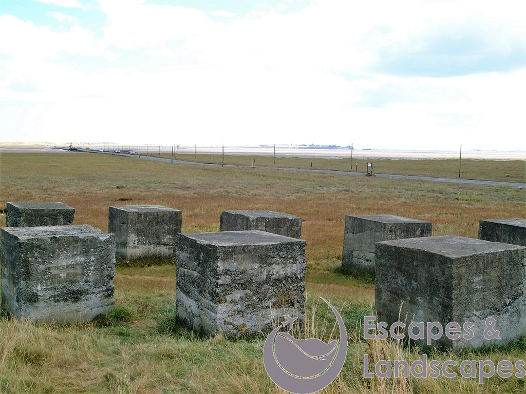 Anti-tank blocks, mainland at Lindisfarne crossing