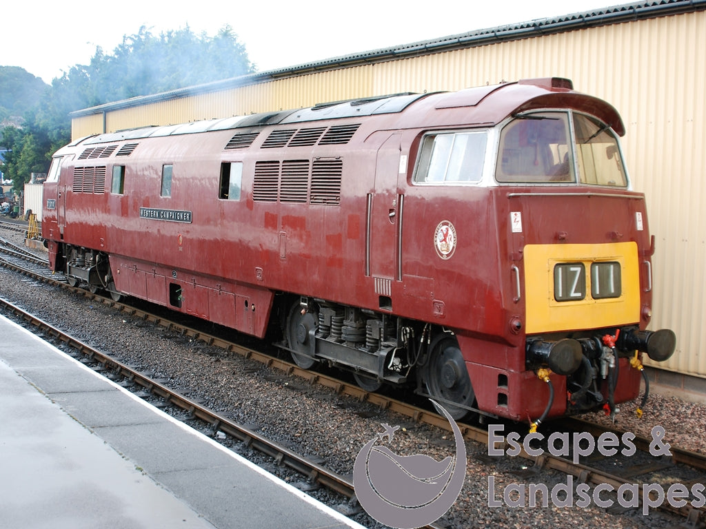 D1010 diesel locomotive